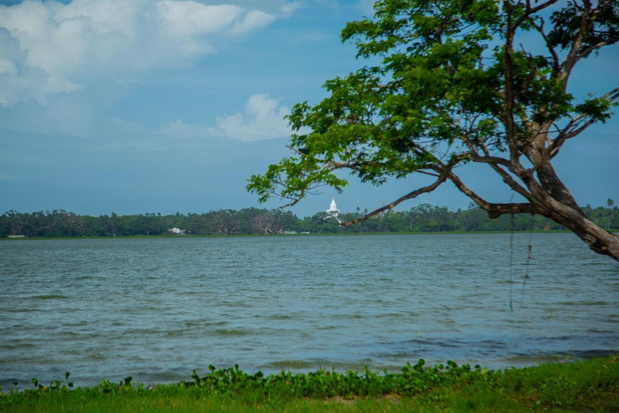 Lake Scape Yala Safari Inn Tissamaharama Eksteriør bilde