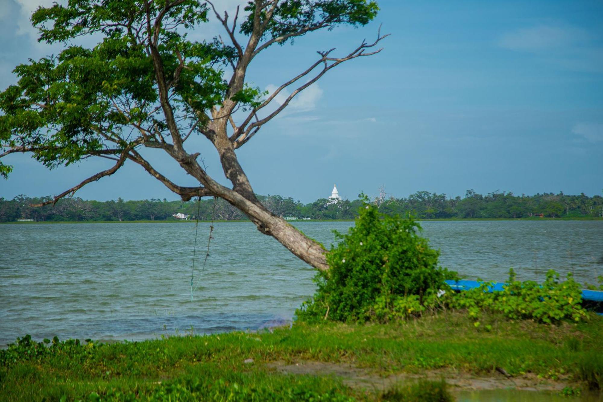 Lake Scape Yala Safari Inn Tissamaharama Eksteriør bilde