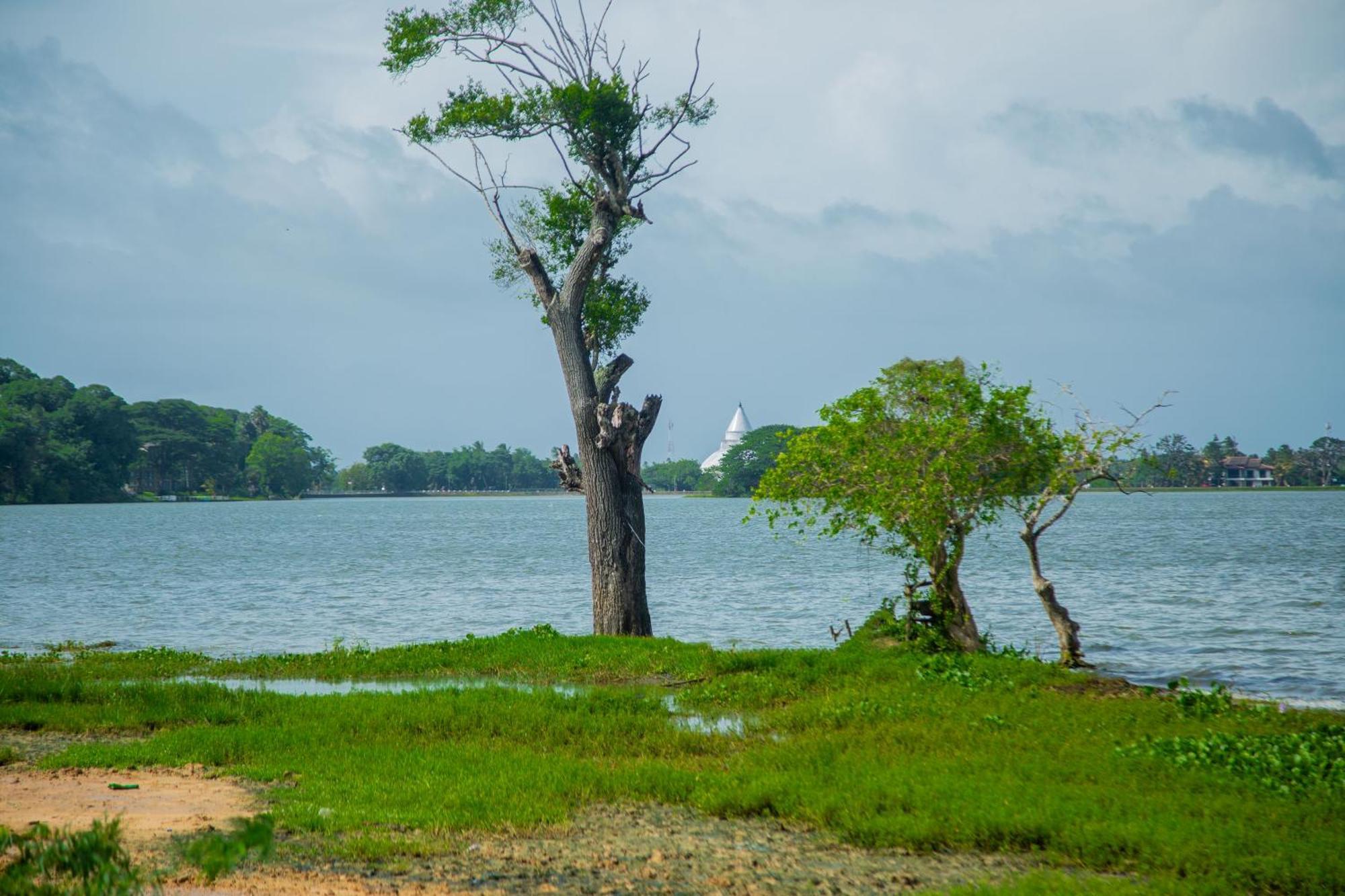 Lake Scape Yala Safari Inn Tissamaharama Eksteriør bilde