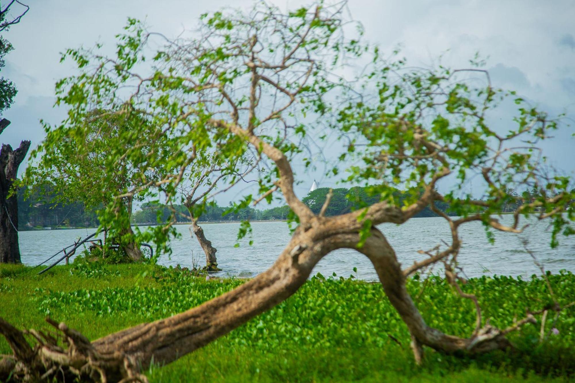 Lake Scape Yala Safari Inn Tissamaharama Eksteriør bilde