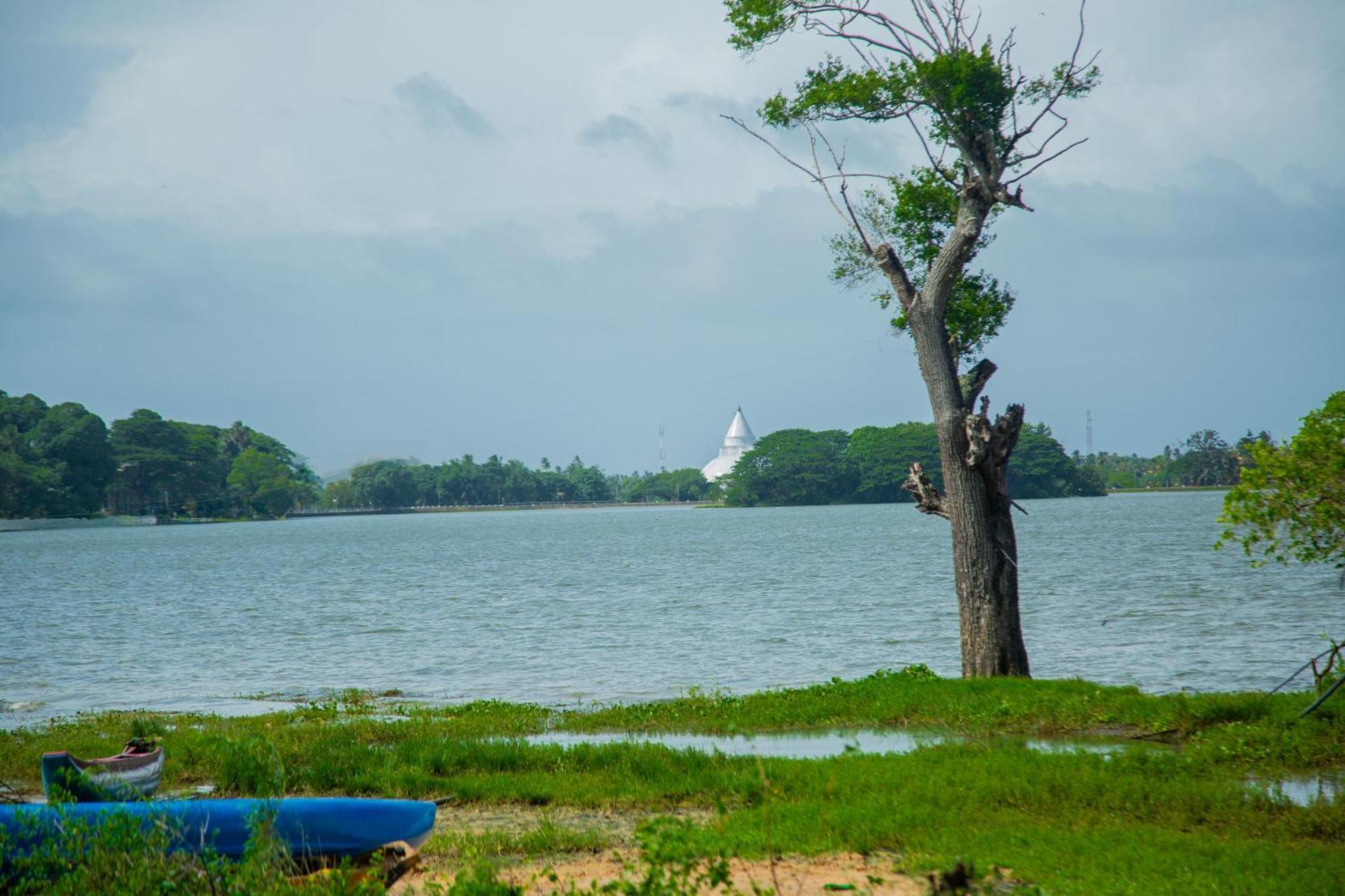 Lake Scape Yala Safari Inn Tissamaharama Eksteriør bilde